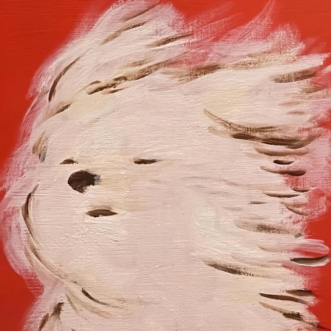 苏鱼娱（涨粉版）