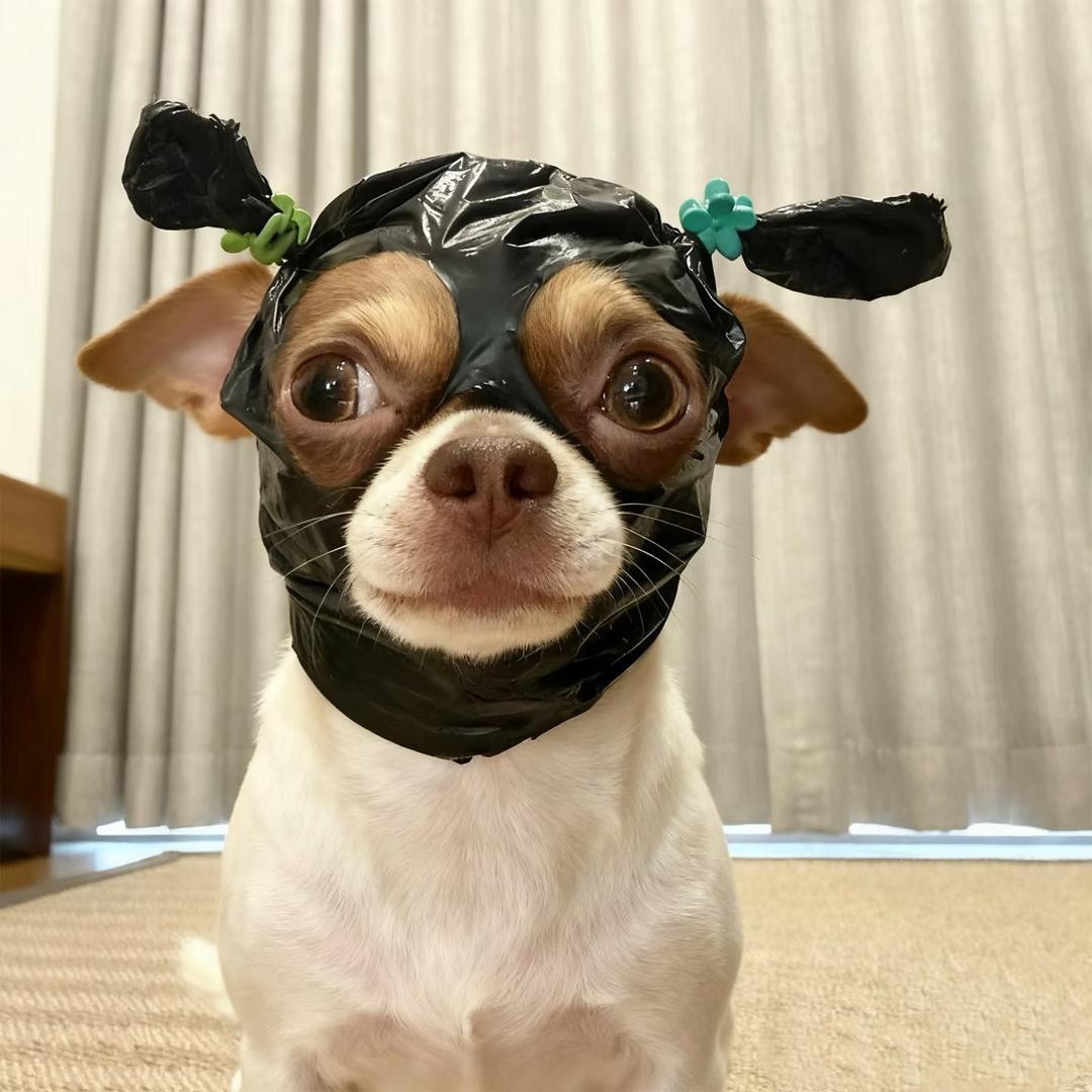 塞纳河畔的春水