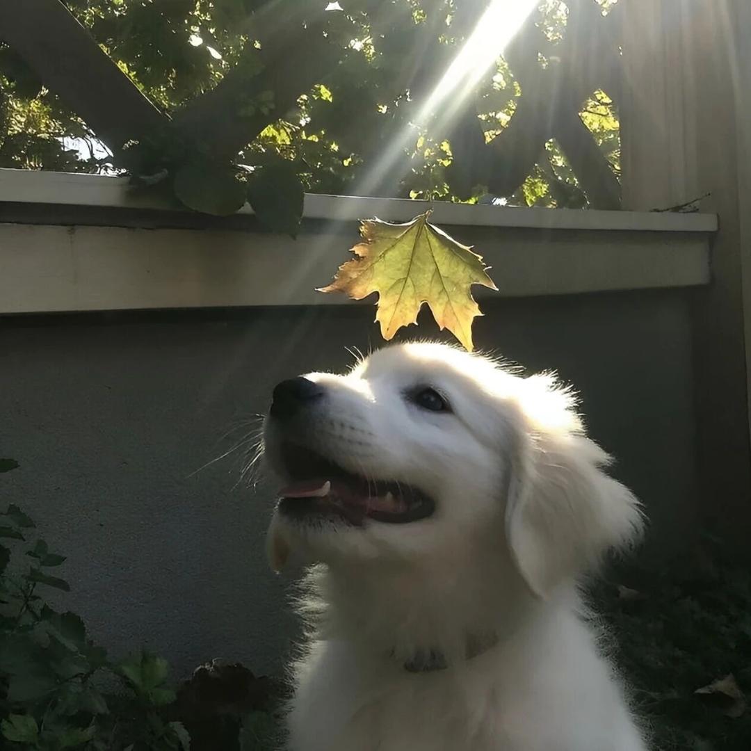 遇到即是上上谦