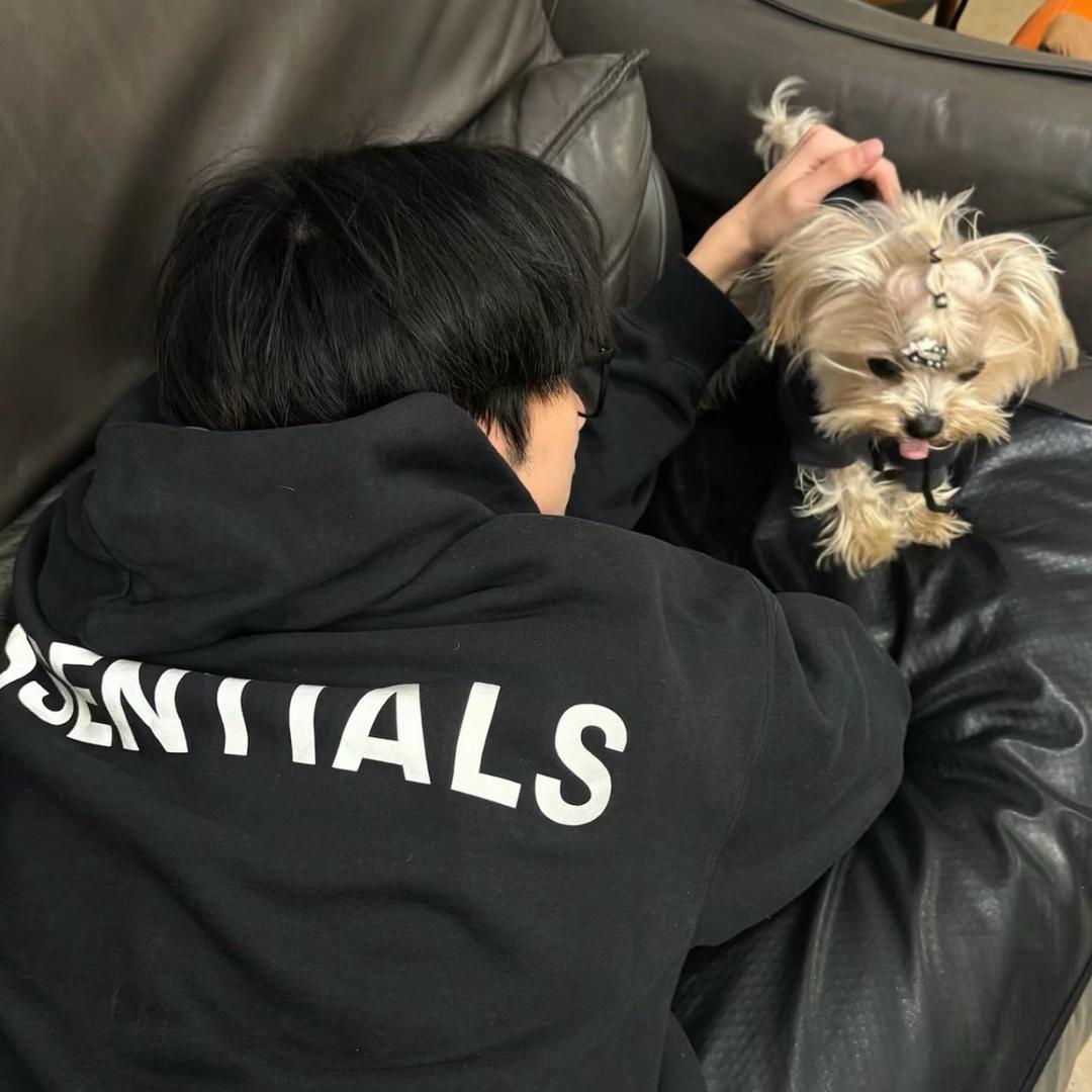 小陈今天又滑水
