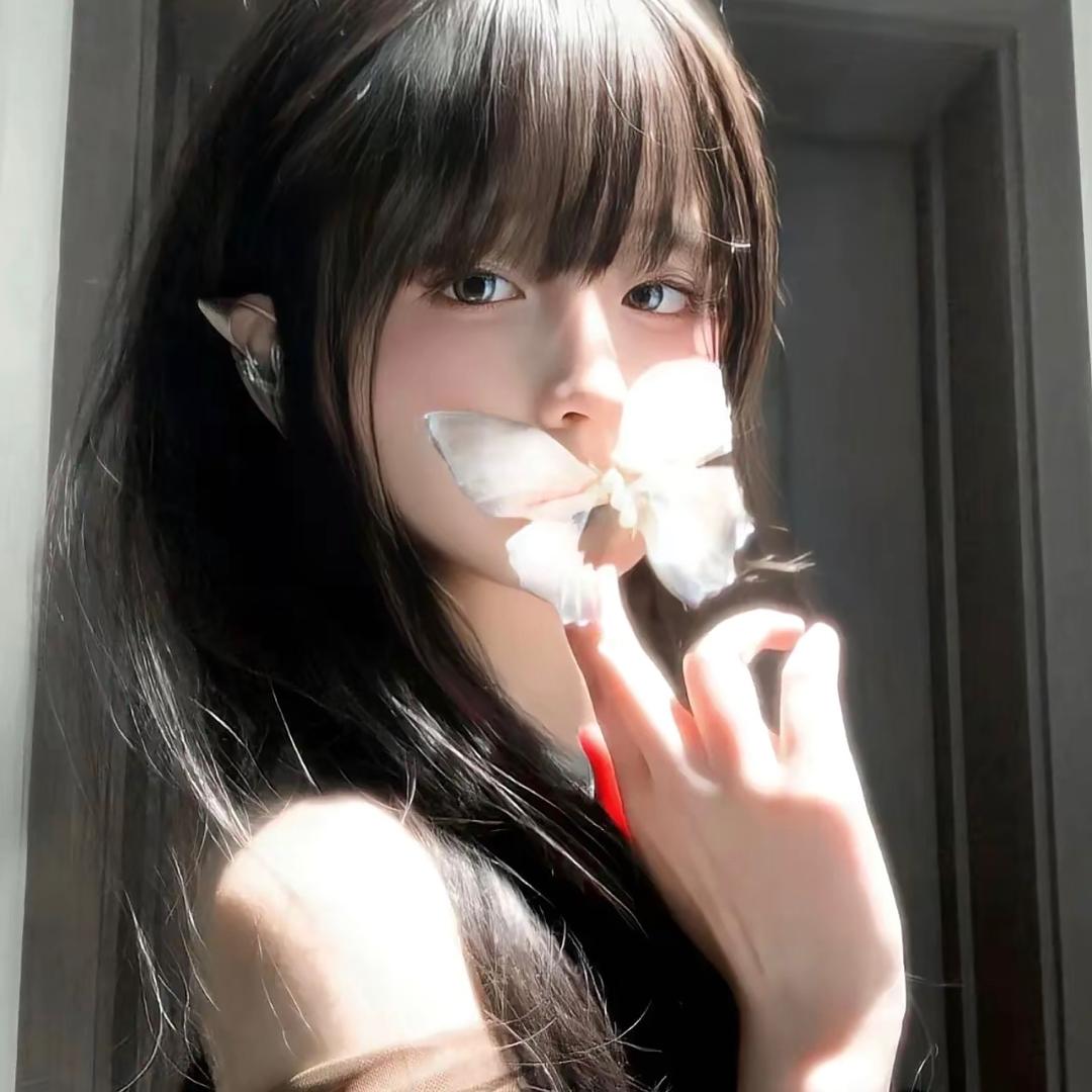 风止何安头像