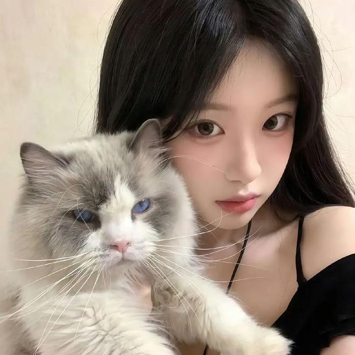 星星打烊了
