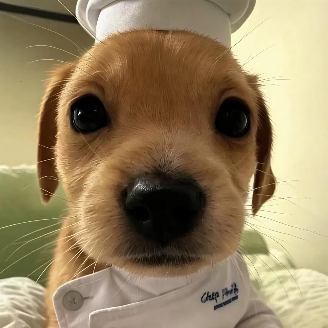贰拾柒-
