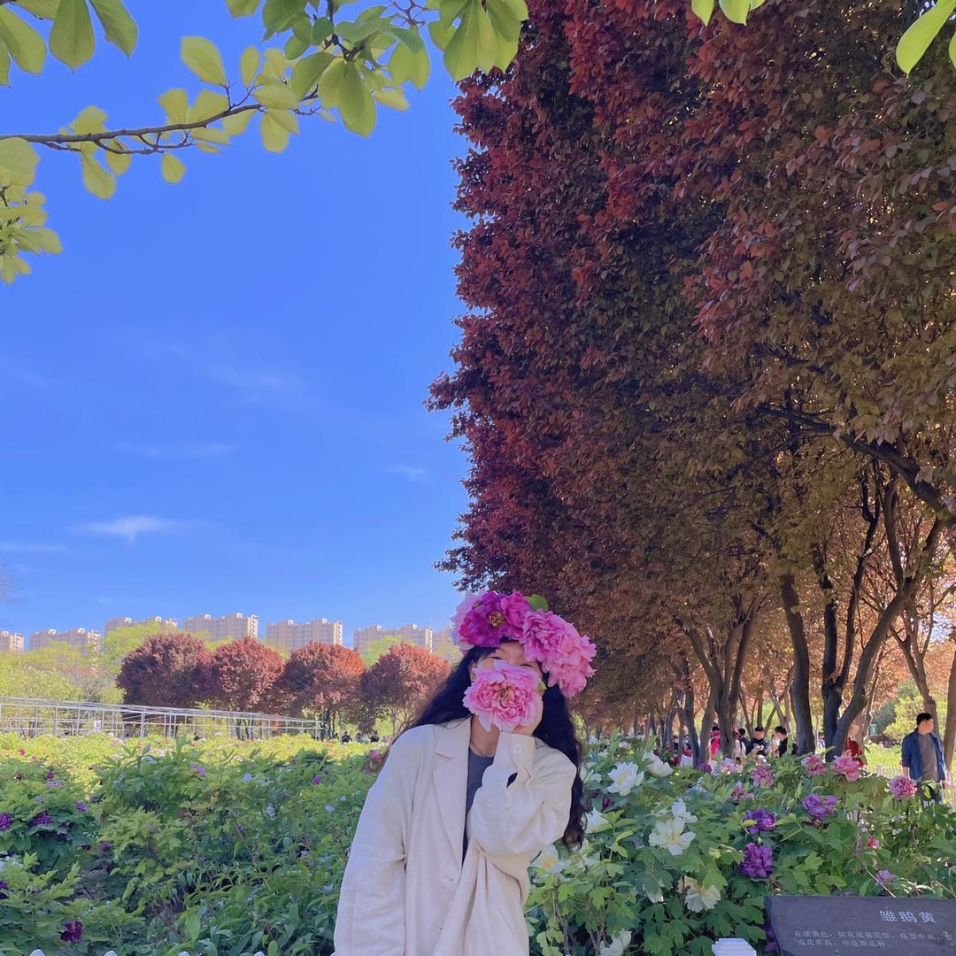 荣象家•装修日记