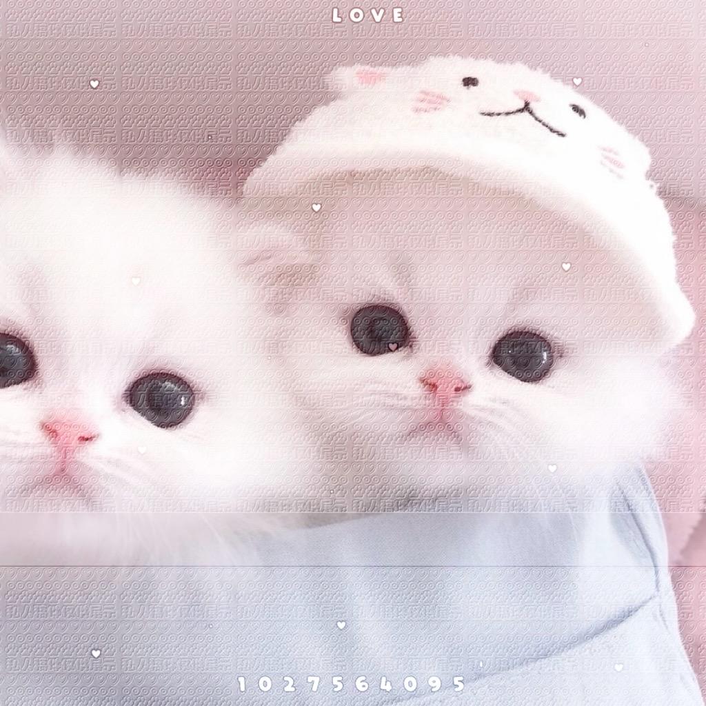 娴娴控