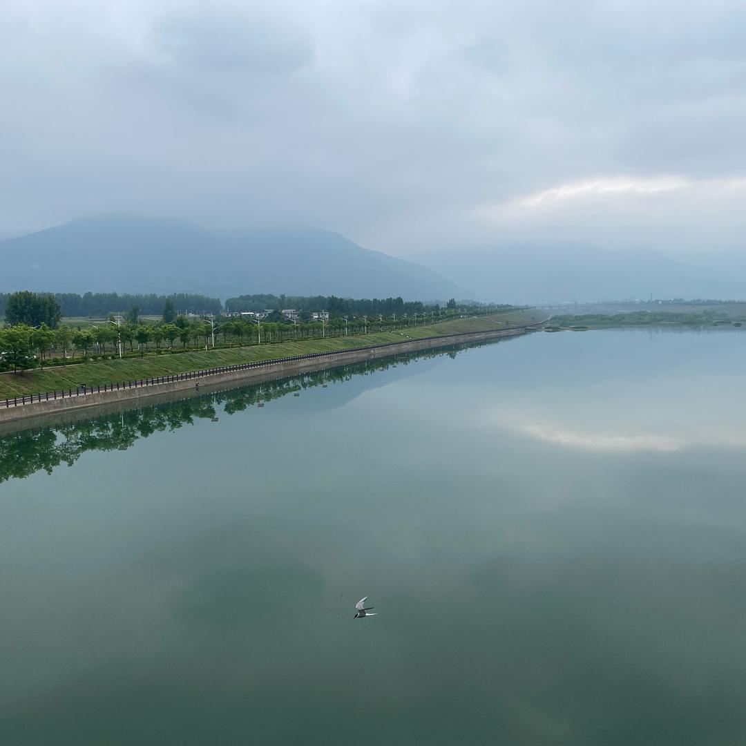 会吃肉的包子