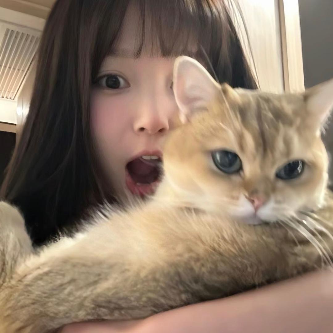 nn大胃袋