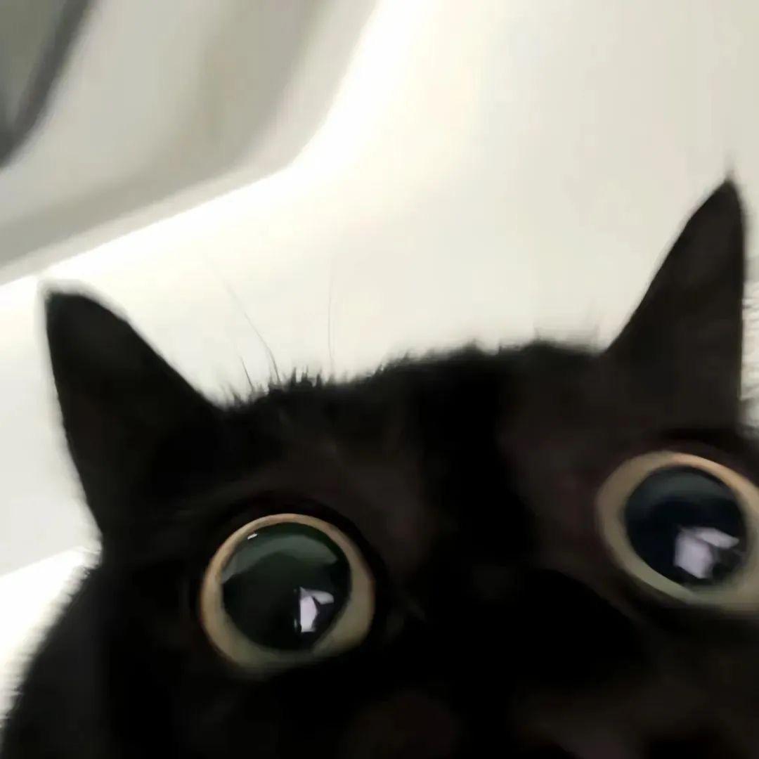 霖.