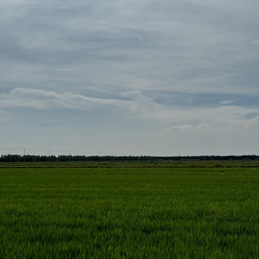 江南美食城.好味道