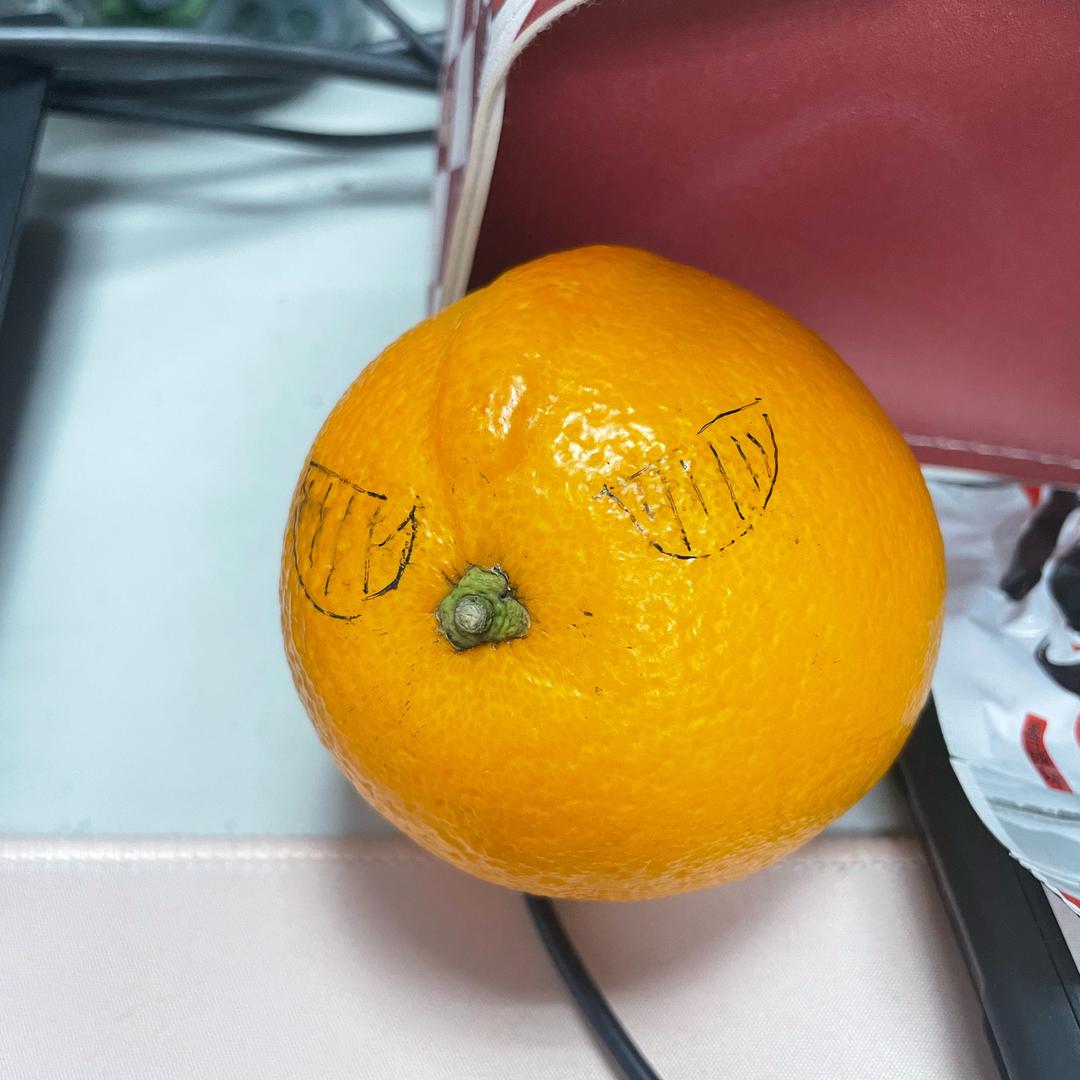 咸鱼不翻身:)