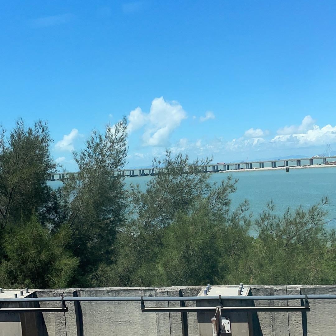 红鲤鱼与绿鲤鱼与驴