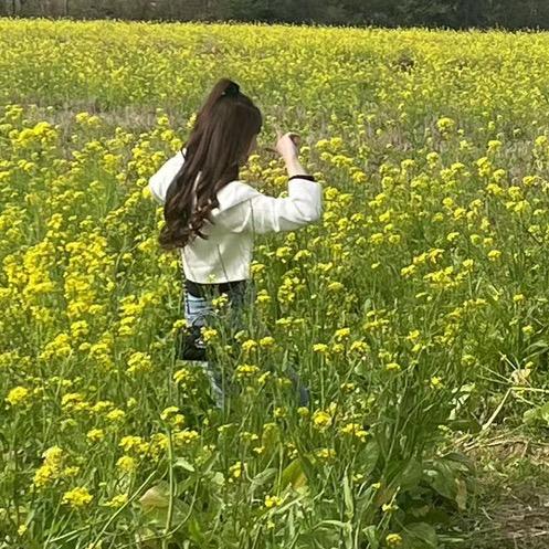 若梦  🌸