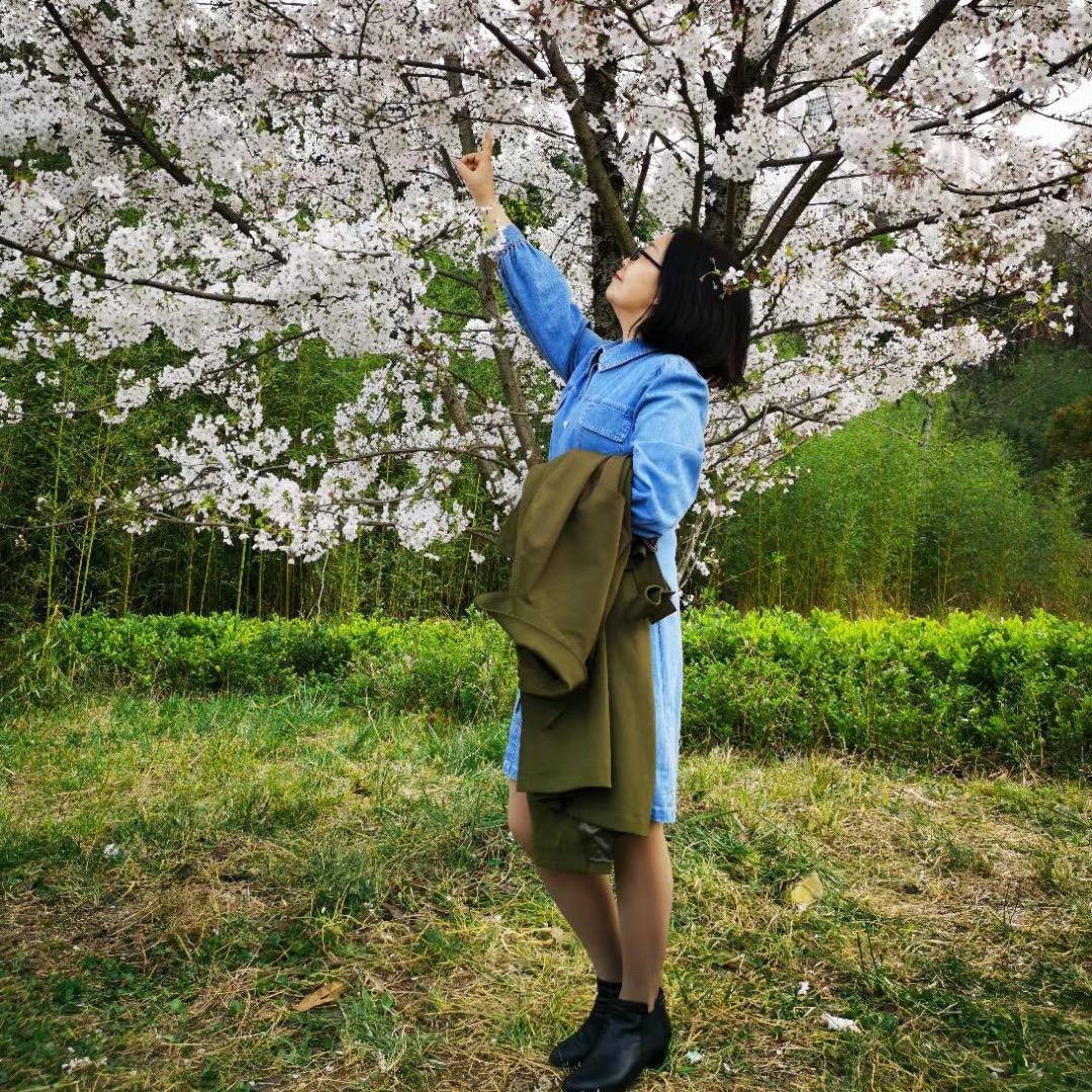 紫蔷薇（手机摄影）