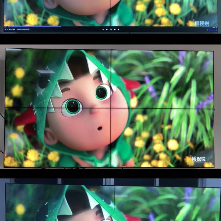 博视锐科技