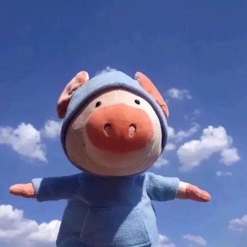 可奈东东