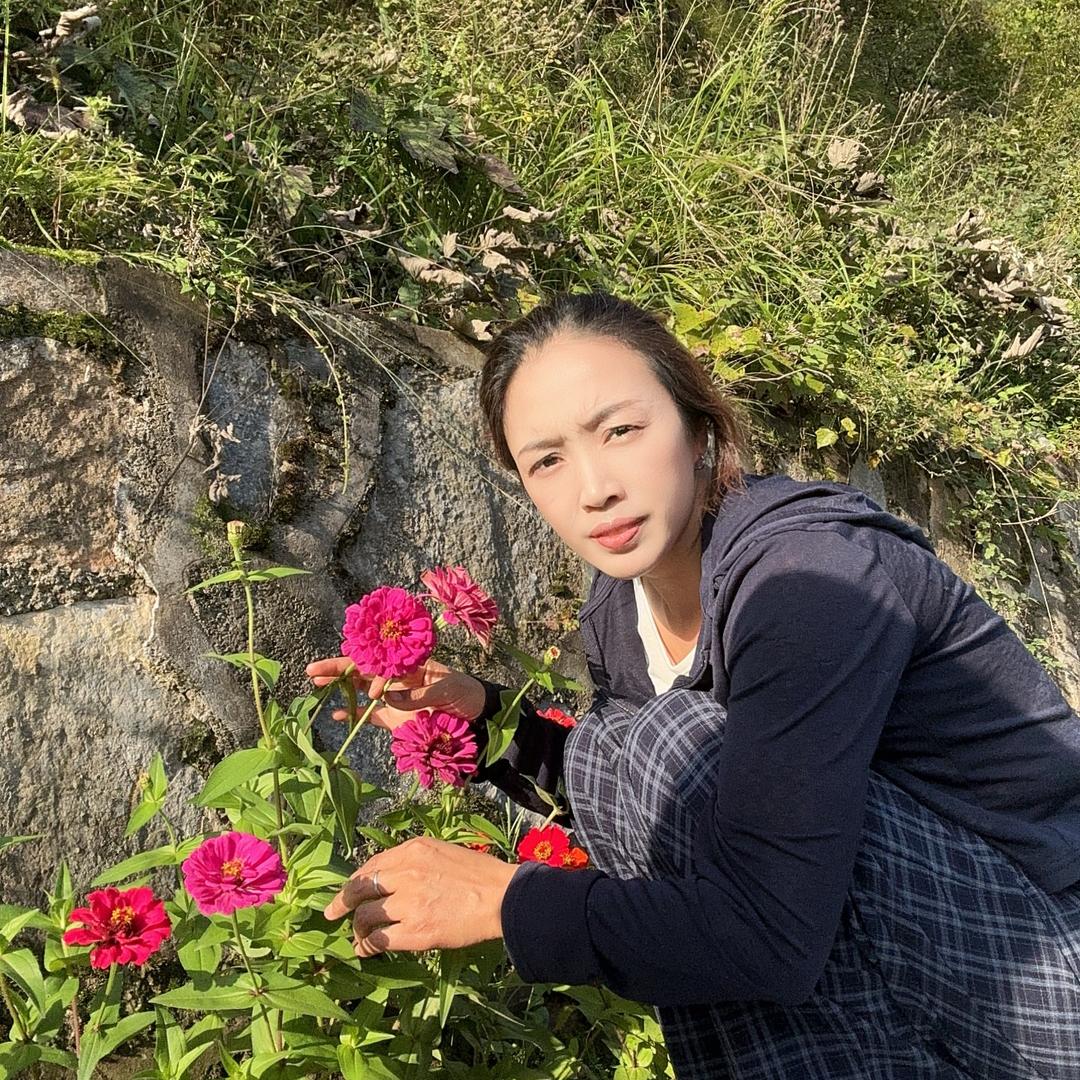 新密杨姐