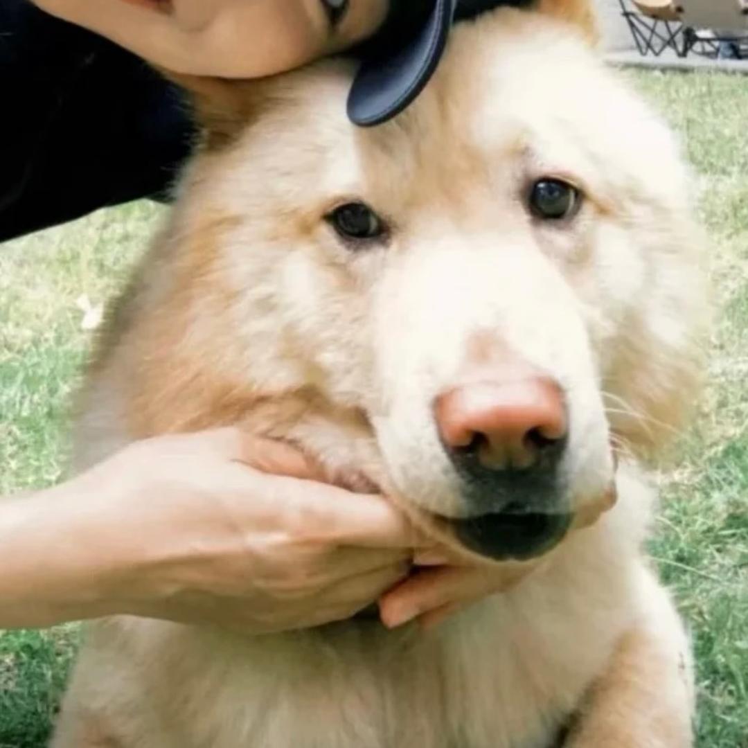 周大梅子