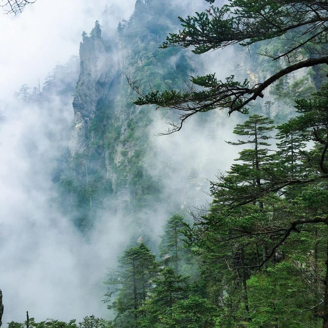 阳阳（五子棋）