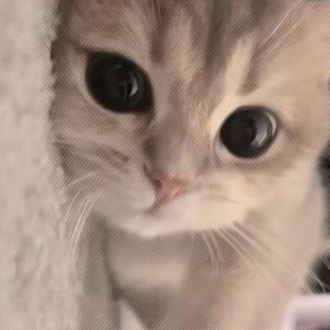 未未慢