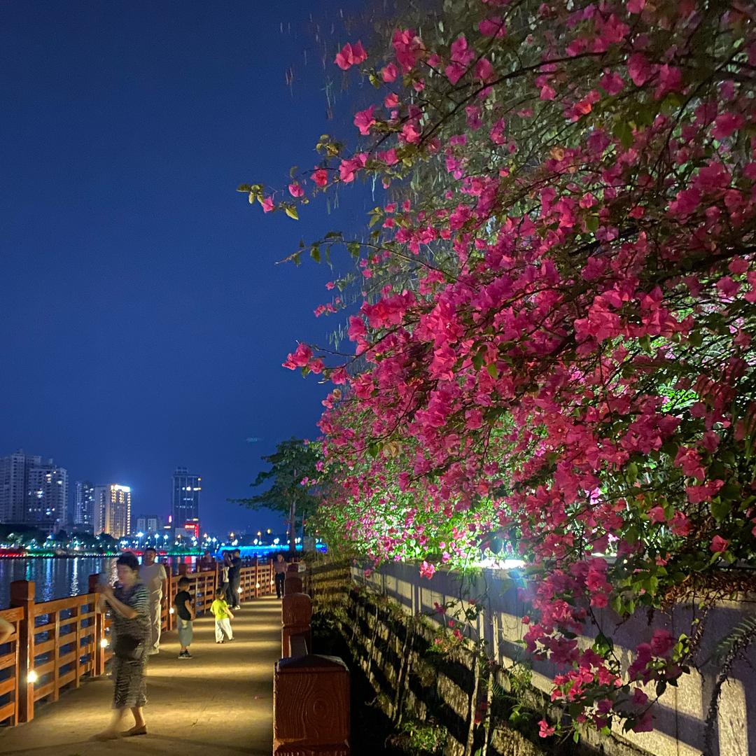 河源车用油&工业油批发•海哥
