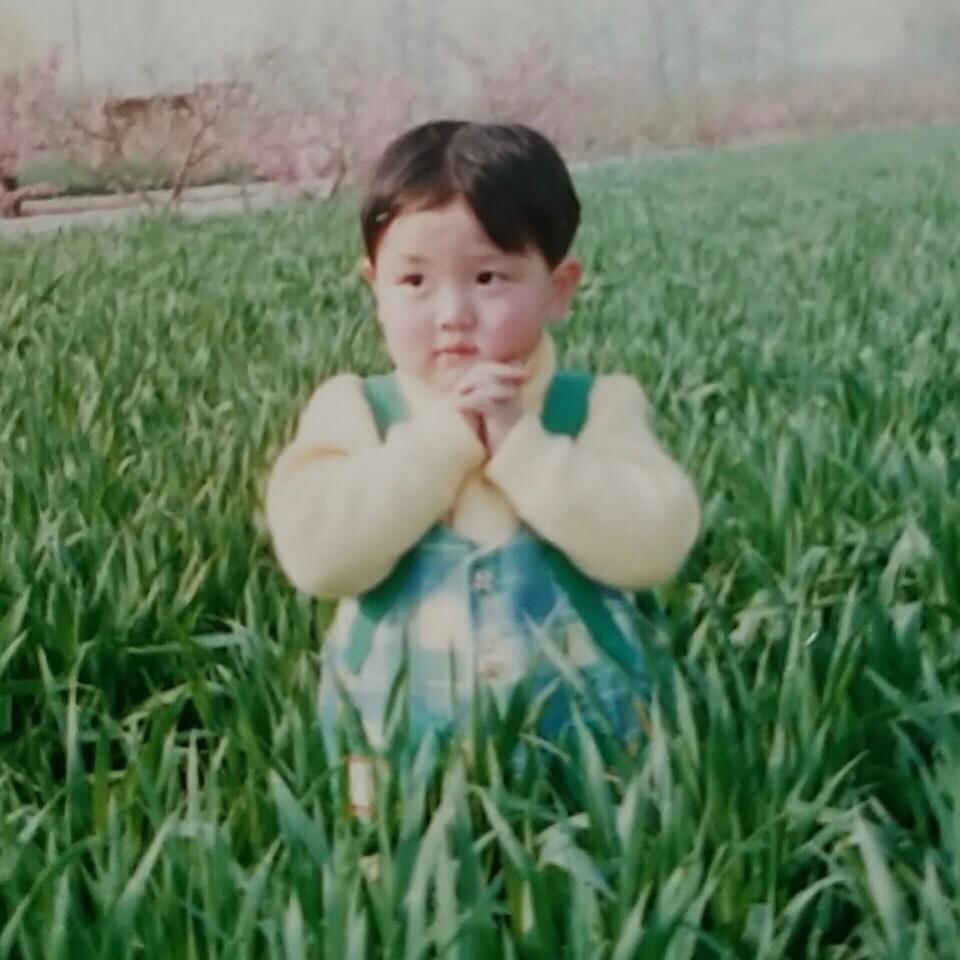 臻好手工肉丸店官方号