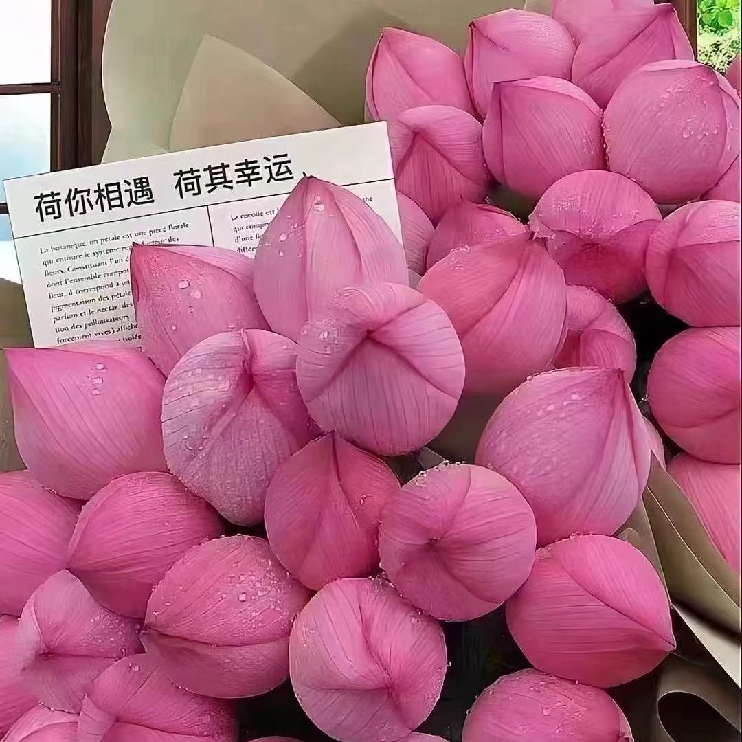 黄小姐探店