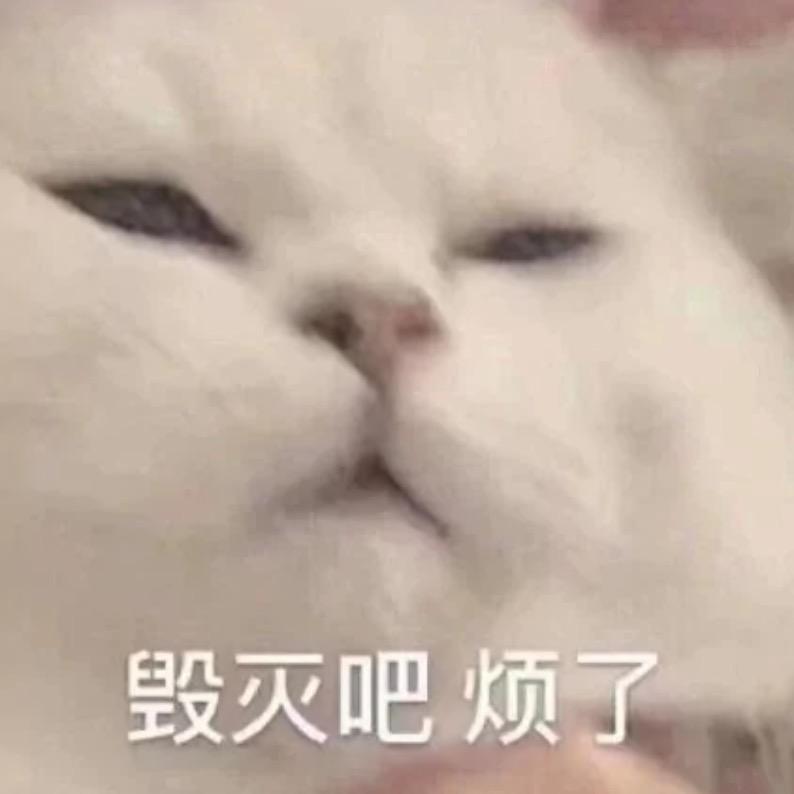 ᝰꪶಇꫀ⁴