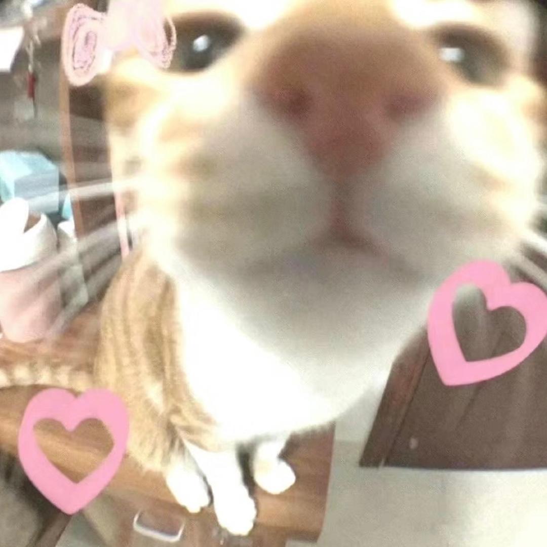 颂安