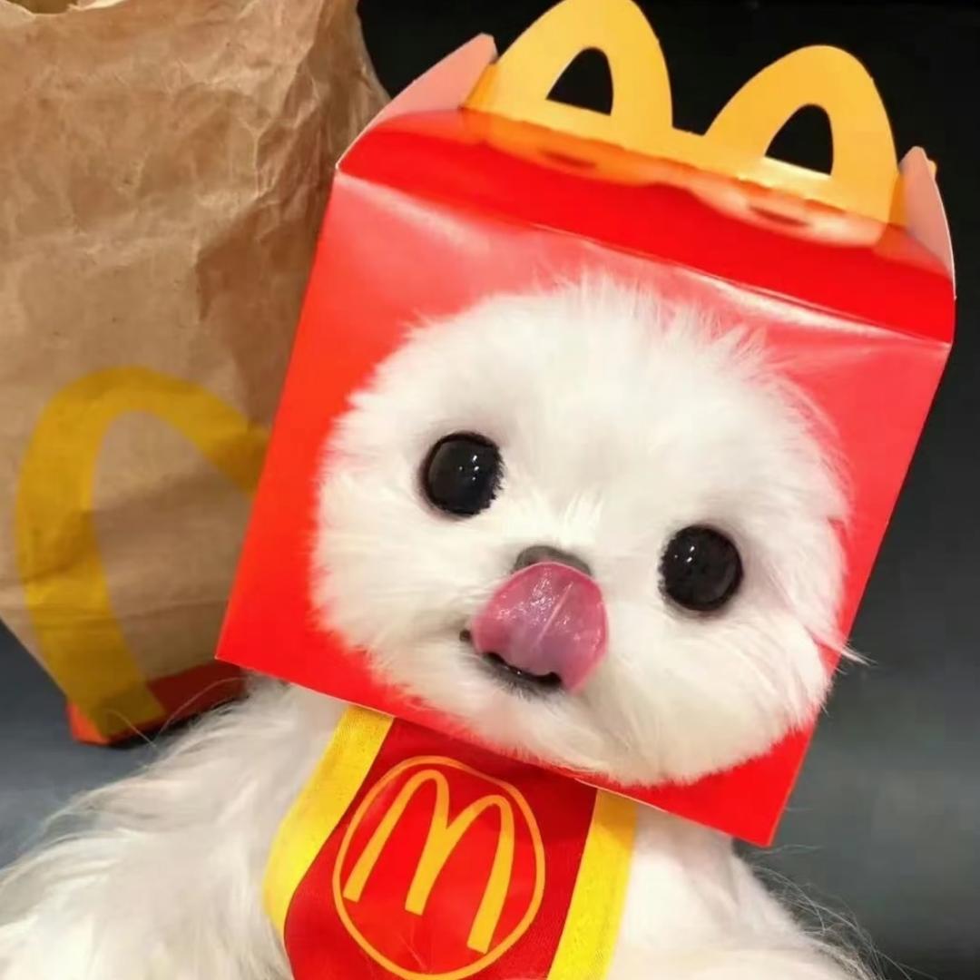 夹心狗