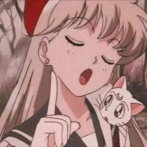 猫枝阿思