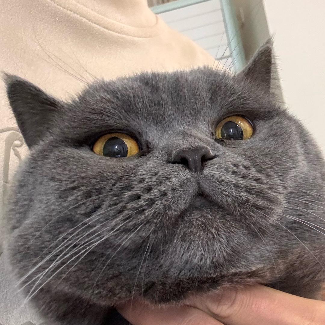 崽不辣