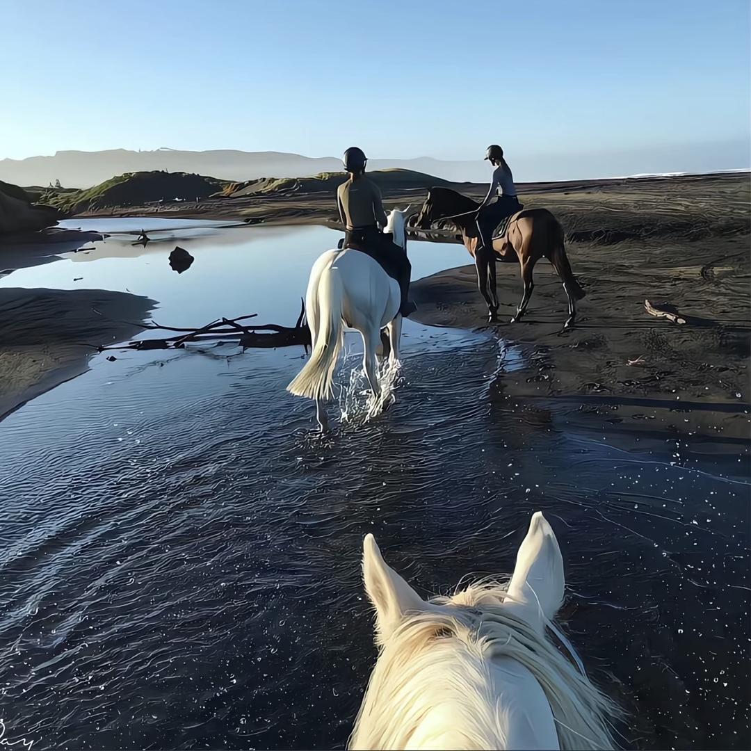 快递一哥 （展恒）