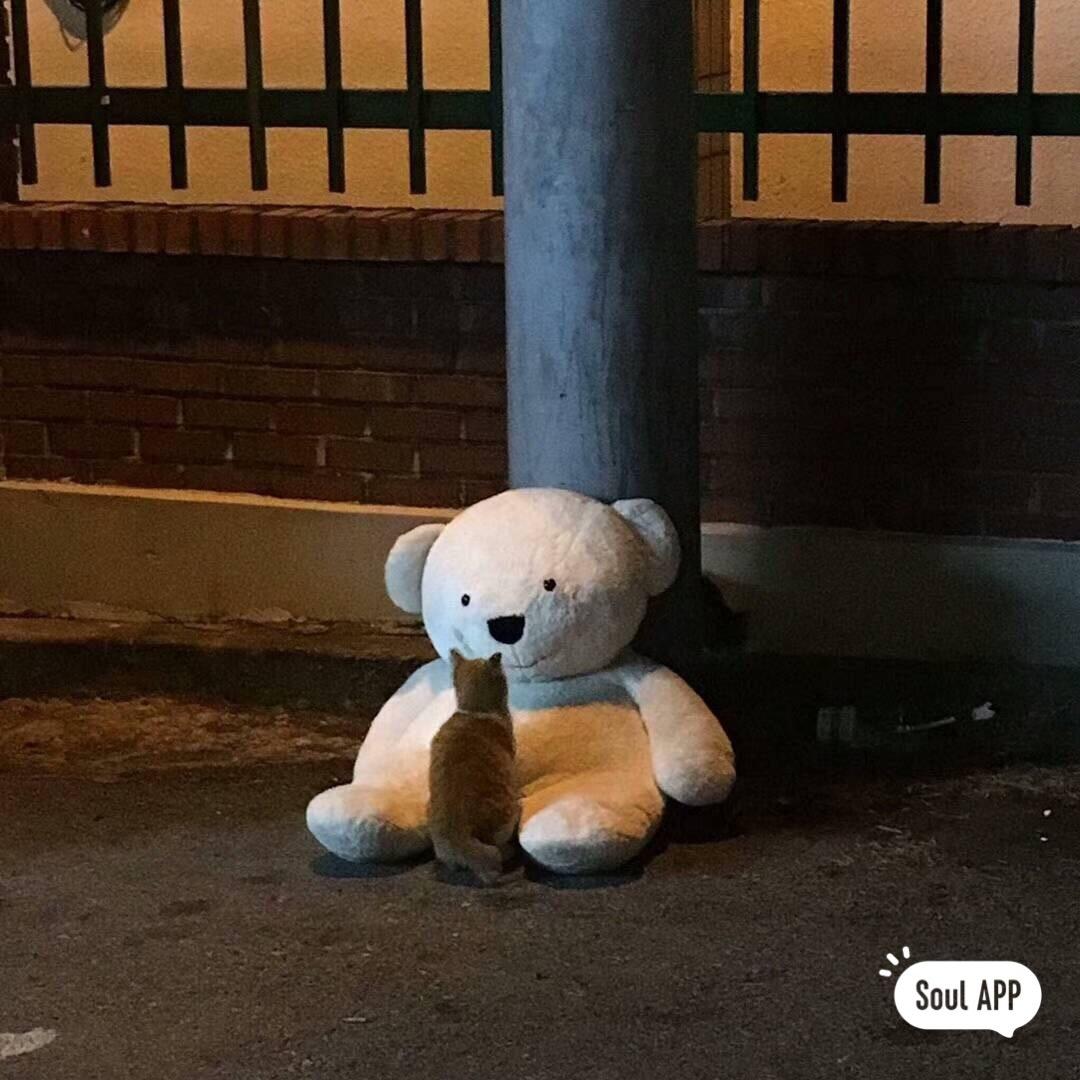 白芷（毛娘版）