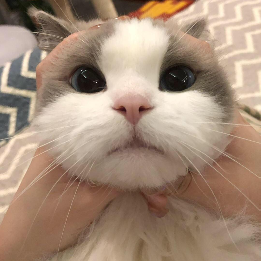 我也要