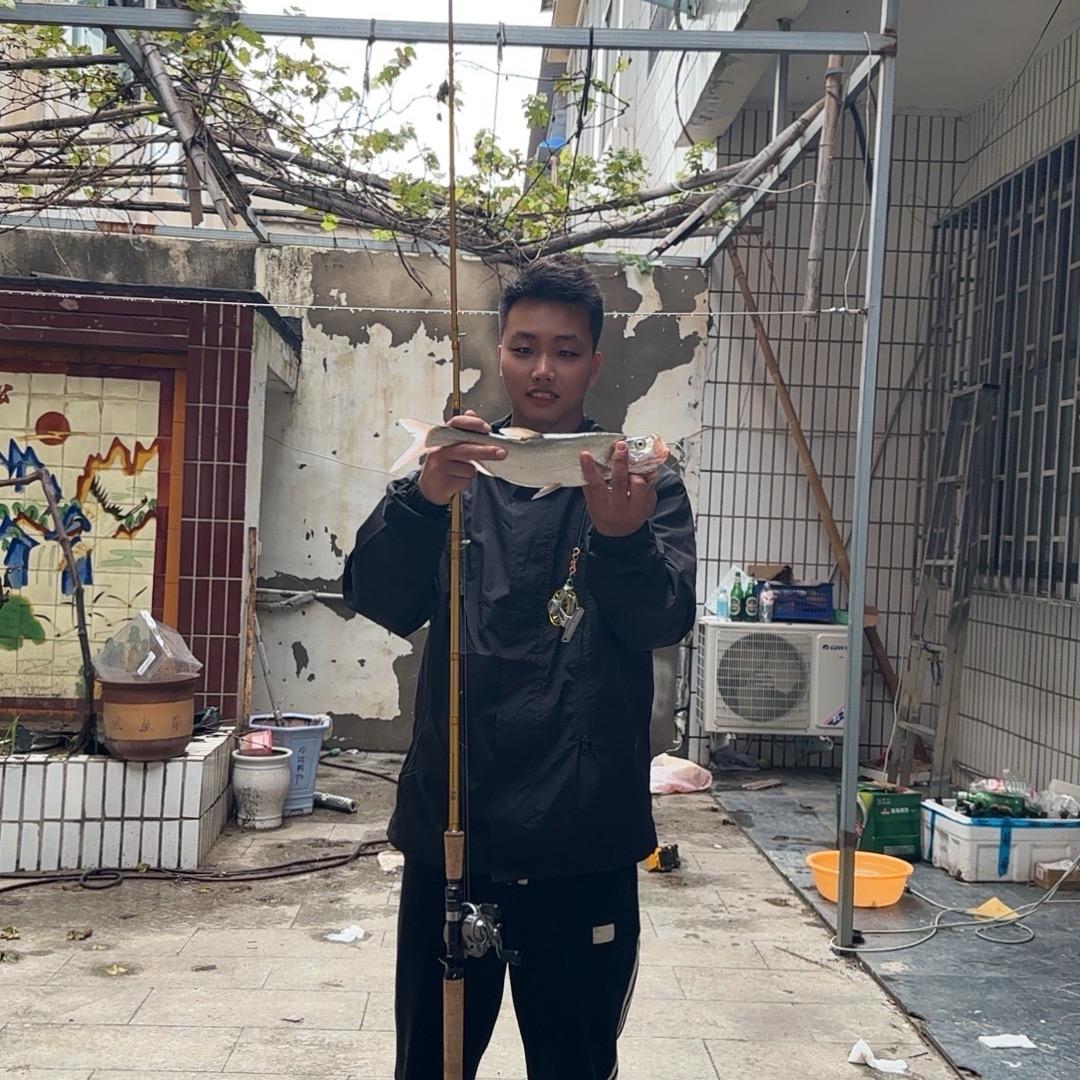 @俺不是打龟佬