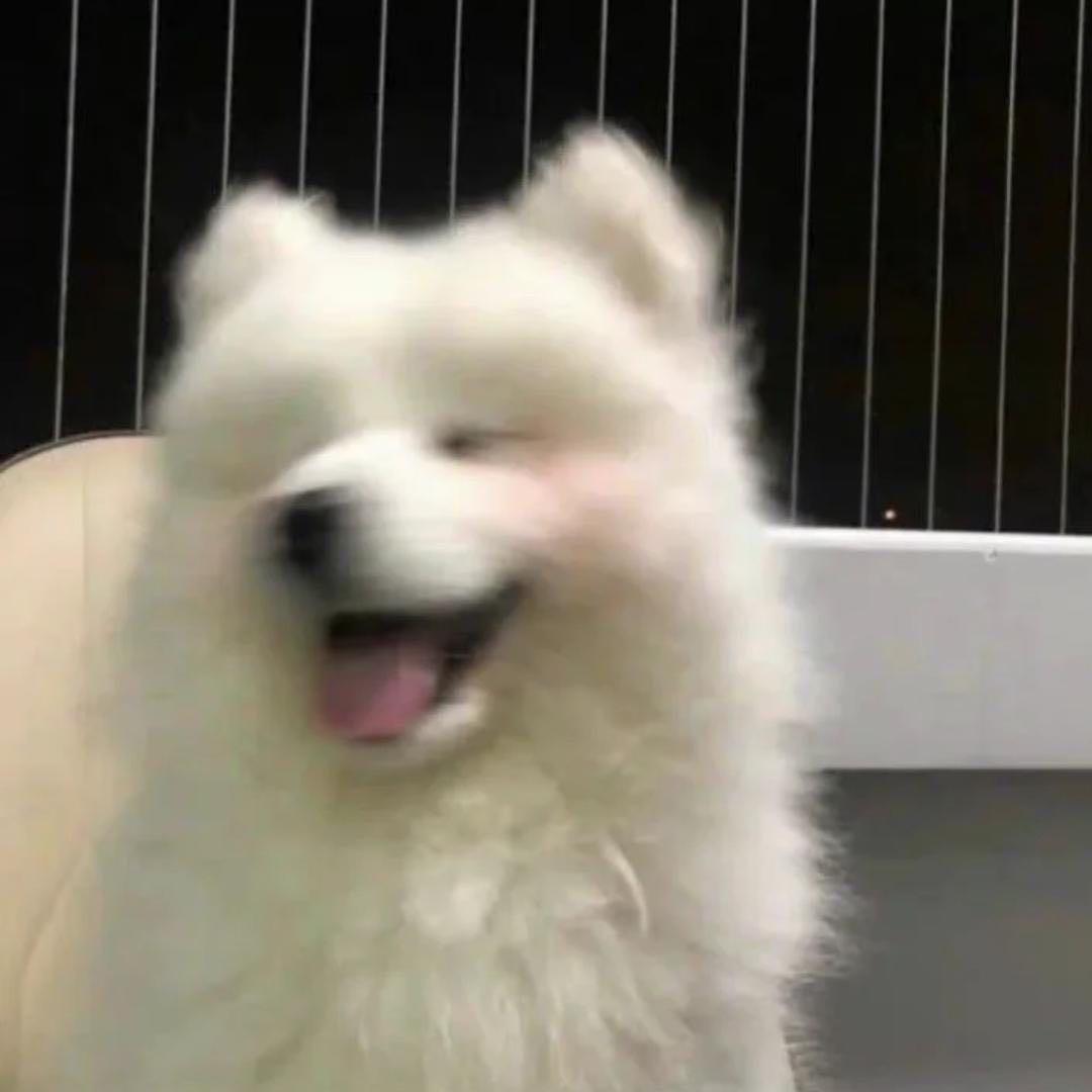 Yh🌈（三角洲行动）