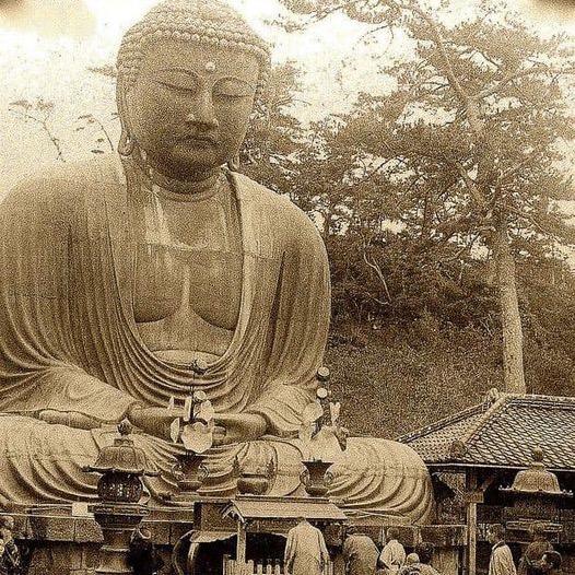 田园牧哥
