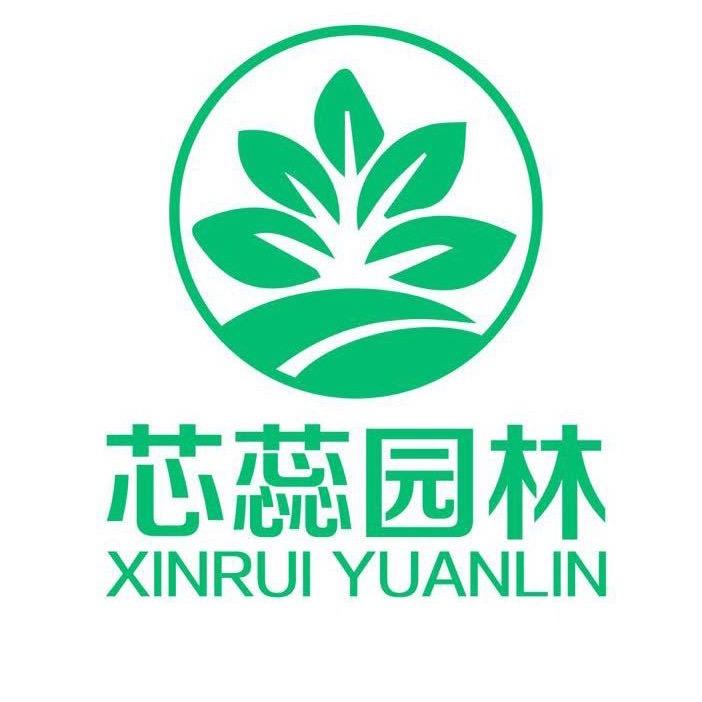 山东芯蕊果树基地