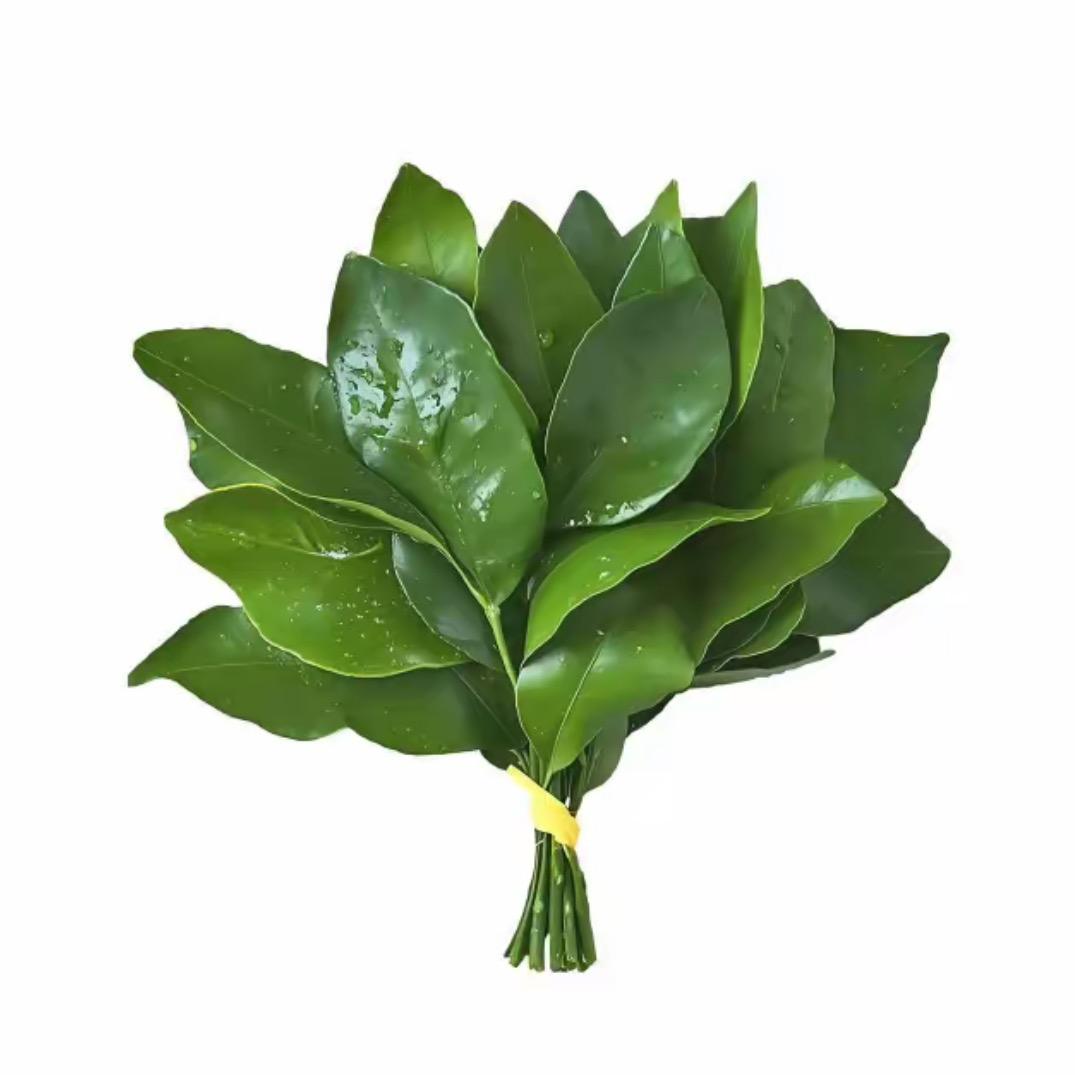 提子