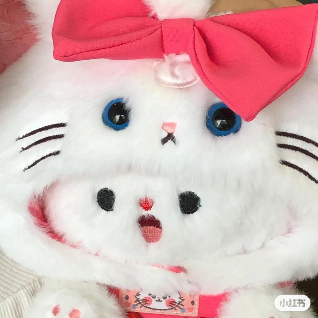 猫饼不吃辣（回归版）