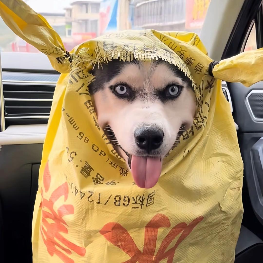 小云同小吉都好重要