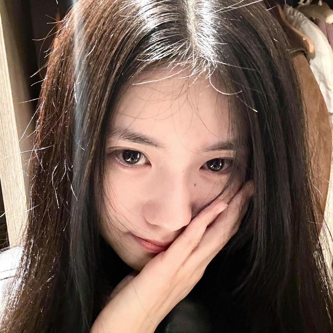 汝矣岛矮脚CAT
