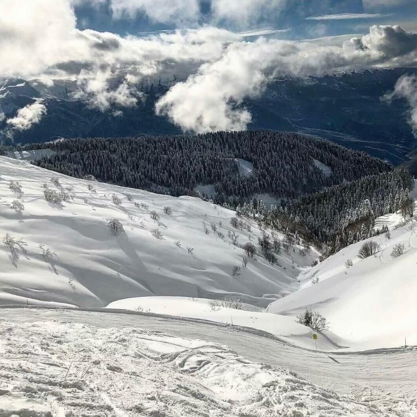 🌈🌈🌈🌈貓猫