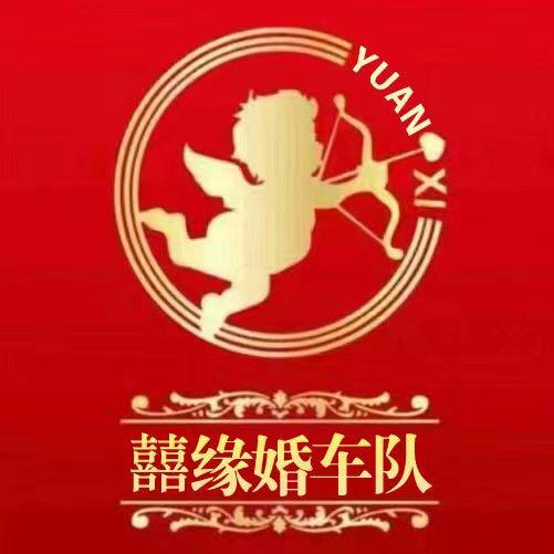 🔥囍缘商务婚车🔥赵县