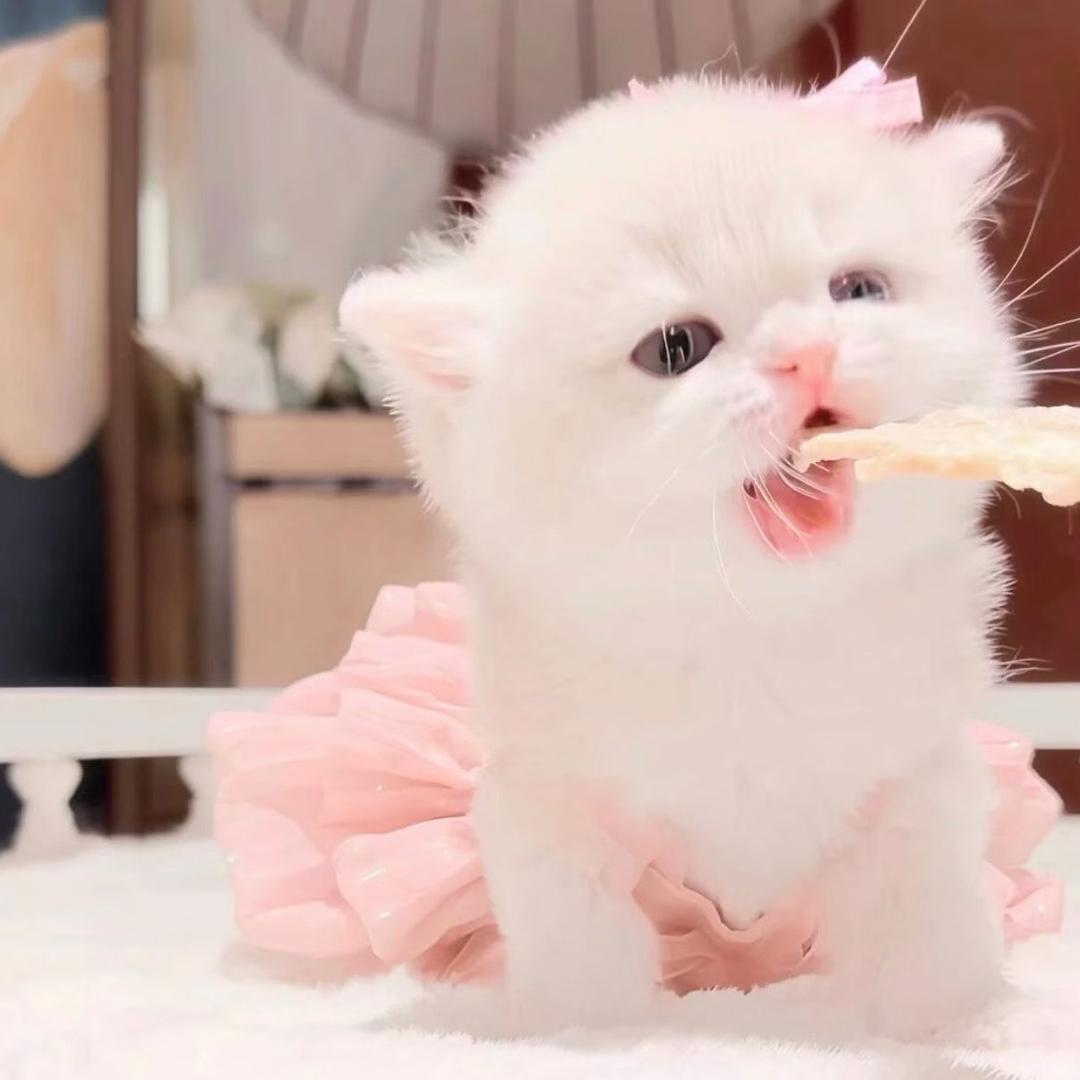 我老婆美丽又温柔