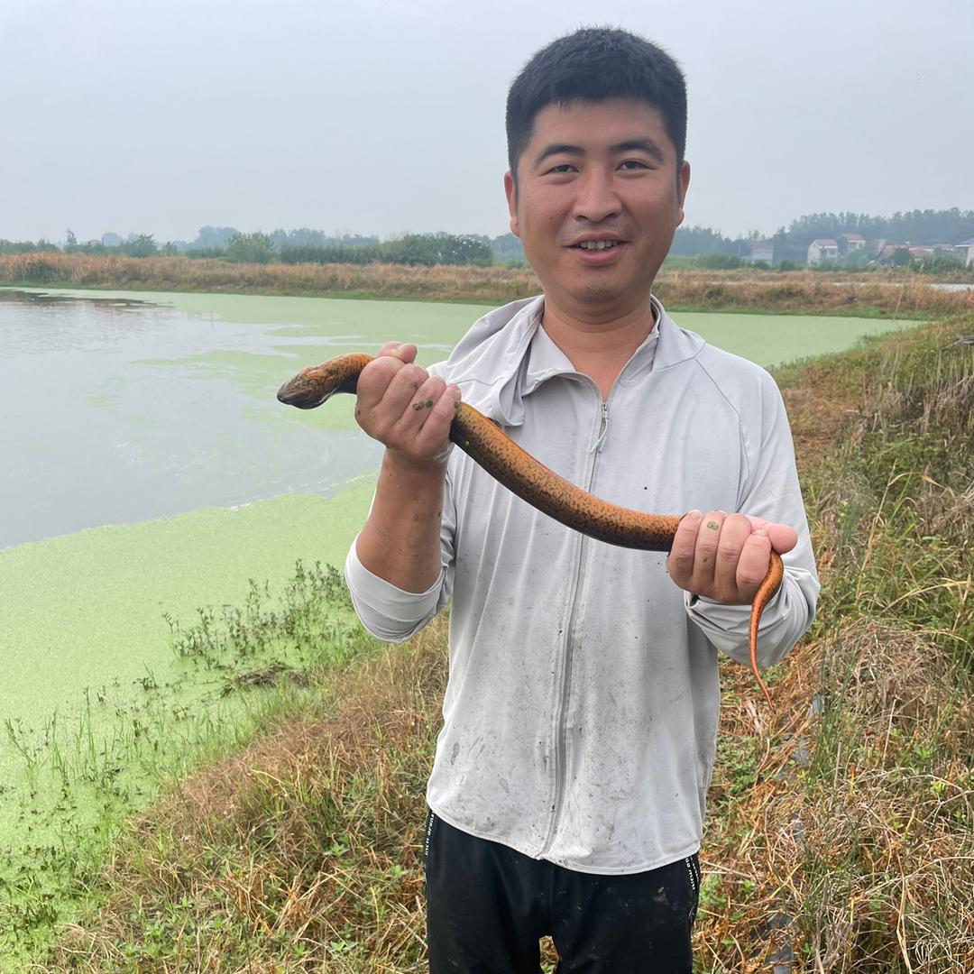 湖南兄弟