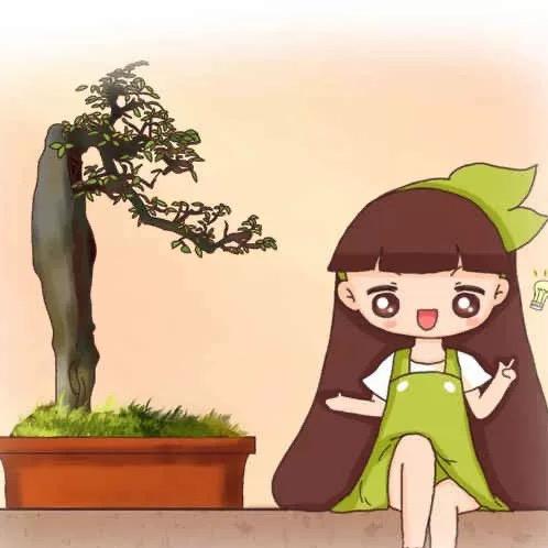 妙艺盆景园