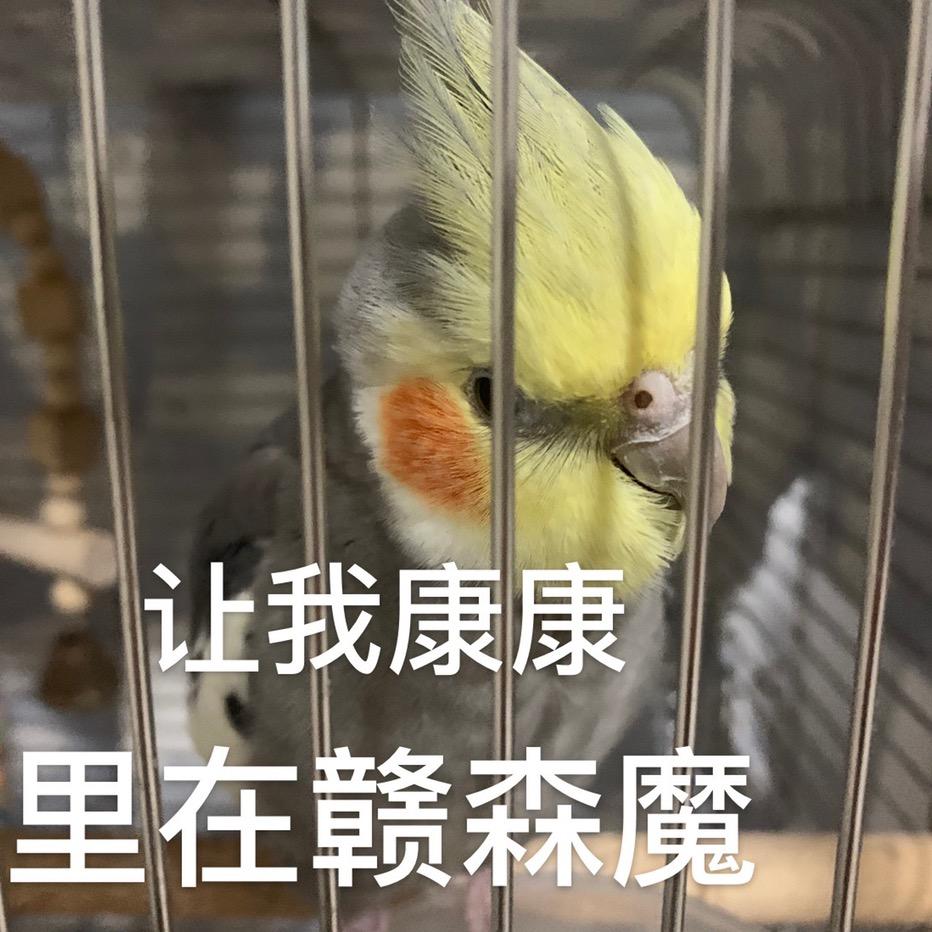 老嘟（许嵩见过4次版