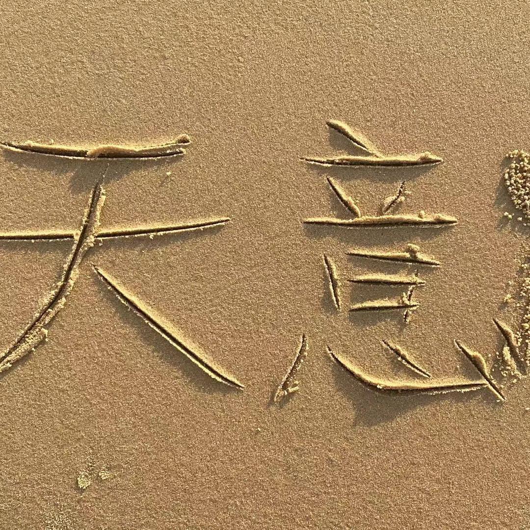 天意球球王者吃鸡评估2号