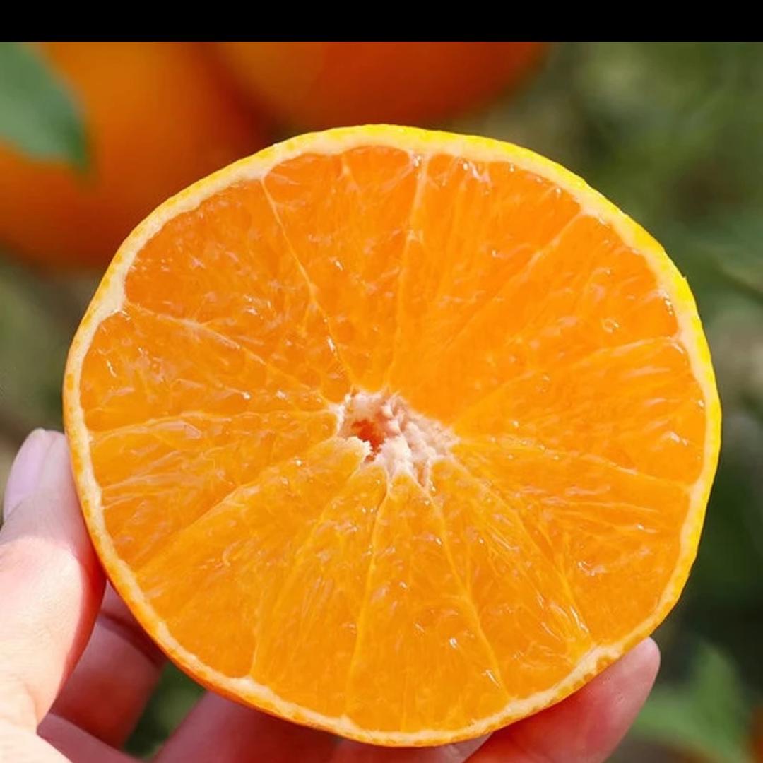 集域优选